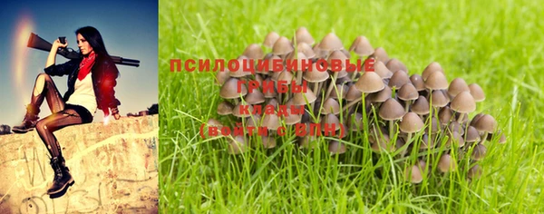 соль курить ск Балахна