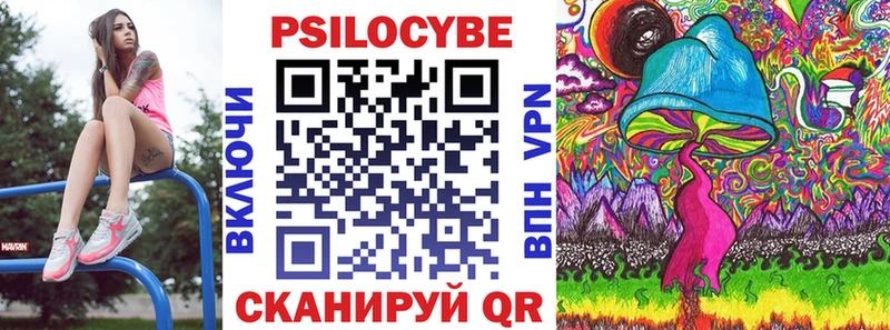 Купить где  Голицыно  Псилоцибиновые грибы MAGIC MUSHROOMS 